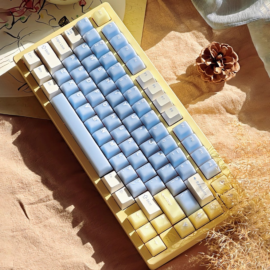 Keycaps Doubleshot bán trong suốt cho bàn phím cơ - PBT + PC Cherry Profile