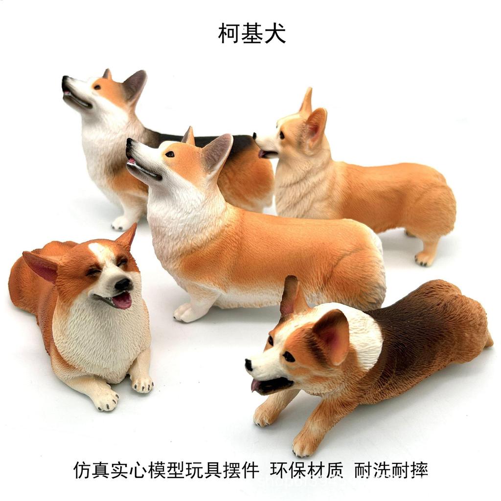 [Mô hình động vật] Mô phỏng rắn Chó Corgi ngắn chân Corgi Welsh Corgi Đồ chơi mô hình chó Corgi