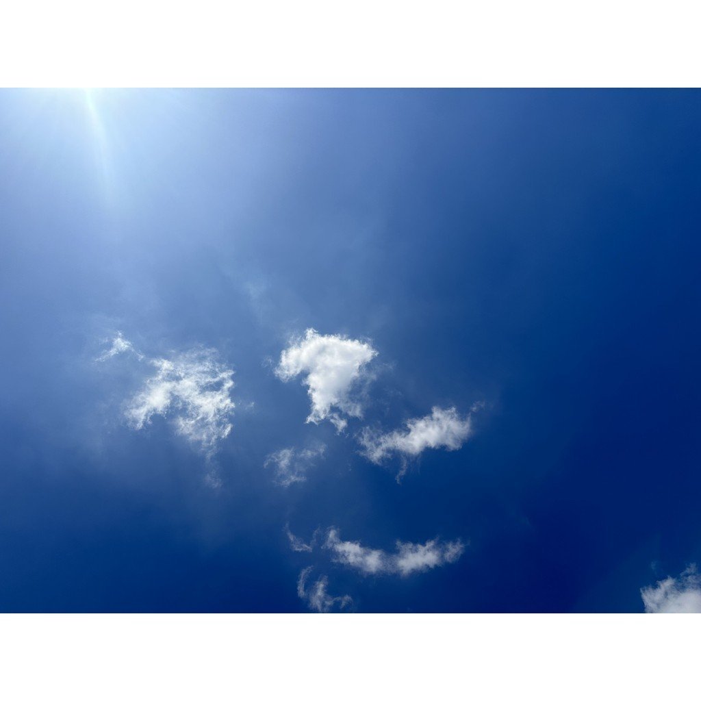 Phụ Kiện Giám Sát Màn Hình Hiển Thị Công Khai Đầu Ô Tô Đa Năng Q9 Camera Chuyển Đổi Video BNC Nam Đế