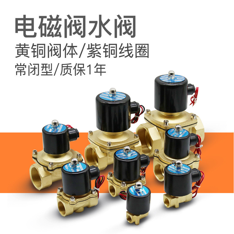 Tất Cả Van Nước Đồng 2W160-15 Van Thoát Nước 2W-250-25 Van Điện Từ Thường Đóng 2W-08 Van Hai Kích Th