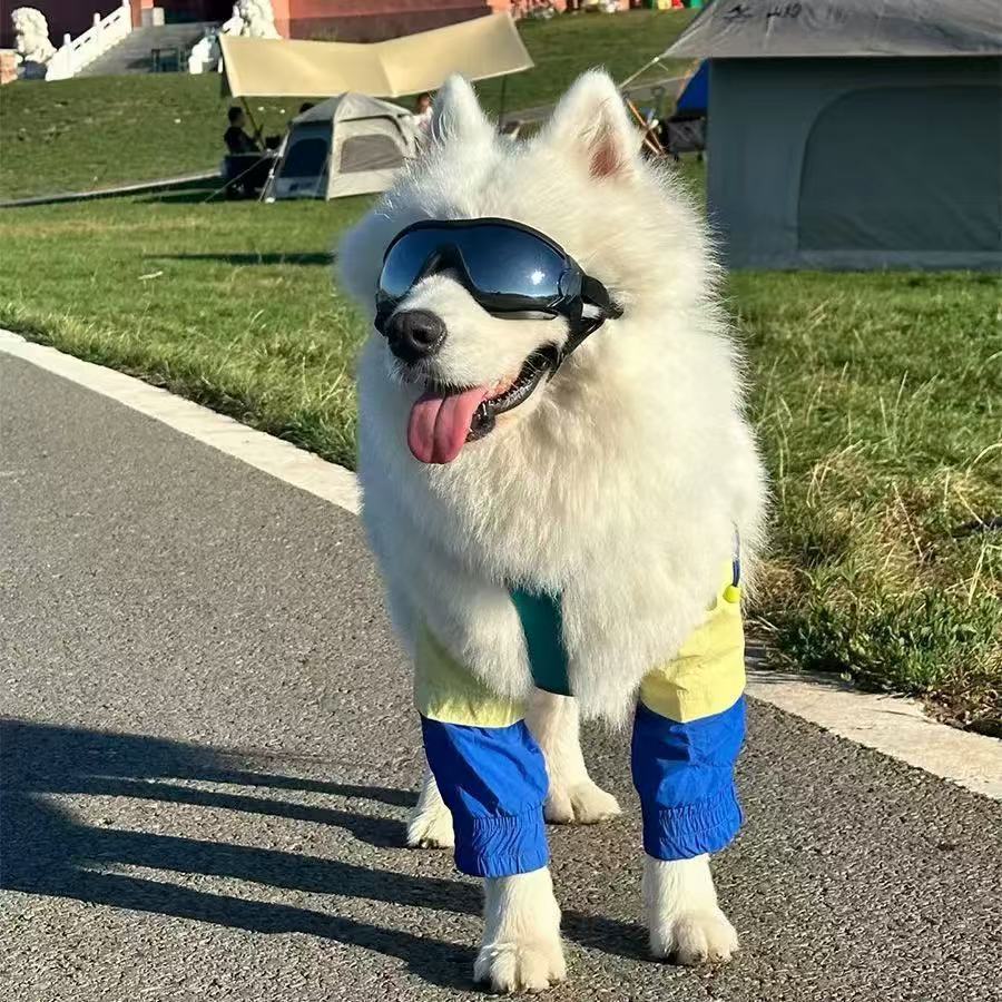 Elbow Pad for Pet Dog Golden Retriever/Border Collie Medium Large Dog Anti-Licking Anti-Wear Front L