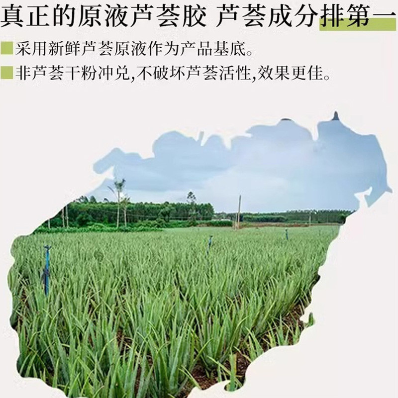 Tìm kiếm Vera Aloe Vera Gel Sau khi Sun Repair Skin Aloe Vera Gel Repair Gel Aloe Vera Cream Gel khá