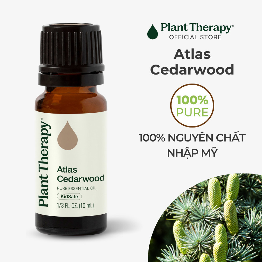 Tinh dầu thiên nhiên Tuyết Tùng (Atlas Cedarwood) Plant Therapy - Pure KidSafe essential oil 10mL 30