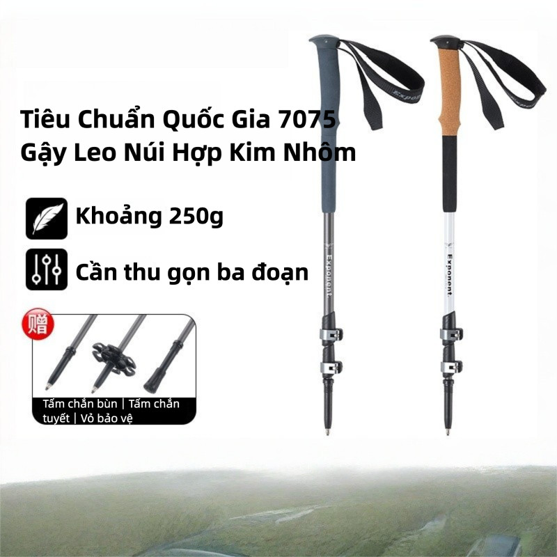 🏕️Gậy Leo Núi Nhôm 7075 | 3 Đoạn Co Giãn Khóa Ngoài 62-135cm Mũi Wolfram