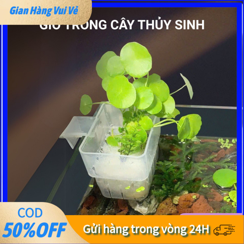 【24H】Giá Đỡ Cây Thủy Sinh Treo Tường Bể Cá - Cốc Trồng Cây Thủy Canh Bằng Nhựa Mica Cao Cấp