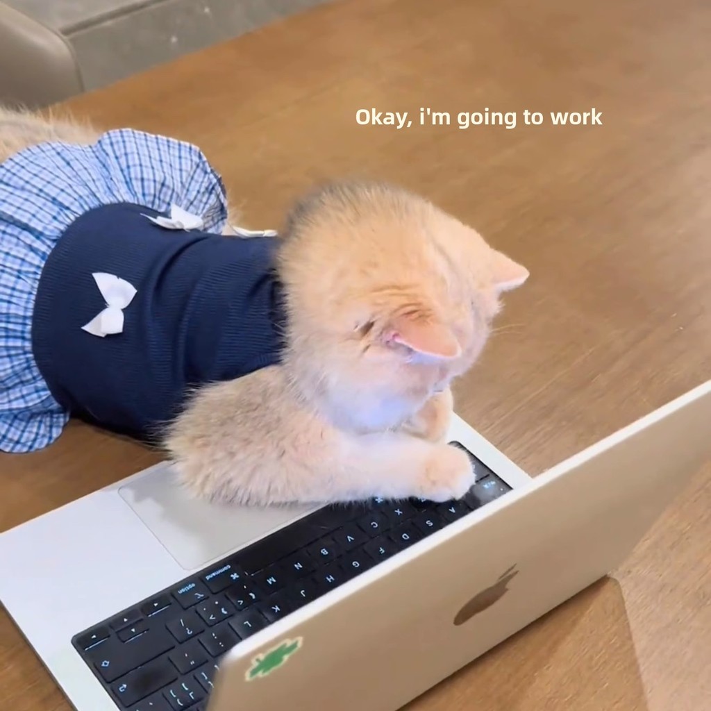 Quần áo mèo con dễ thương Váy công chúa mùa hè Màu vàng Gradient Ragdoll Cat Shorthair Blue Cat Dog 