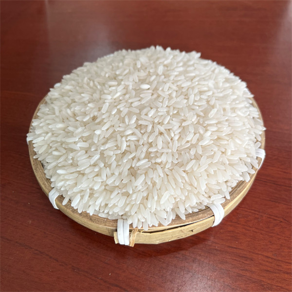 Gạo 504 - Xốp và Nở nhiều, Không dẻo