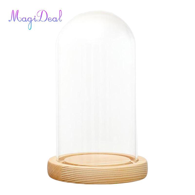 MagiDeal Glass Cloche Dome Chống bụi với đế gỗ Cloche Bell Jar Display Case