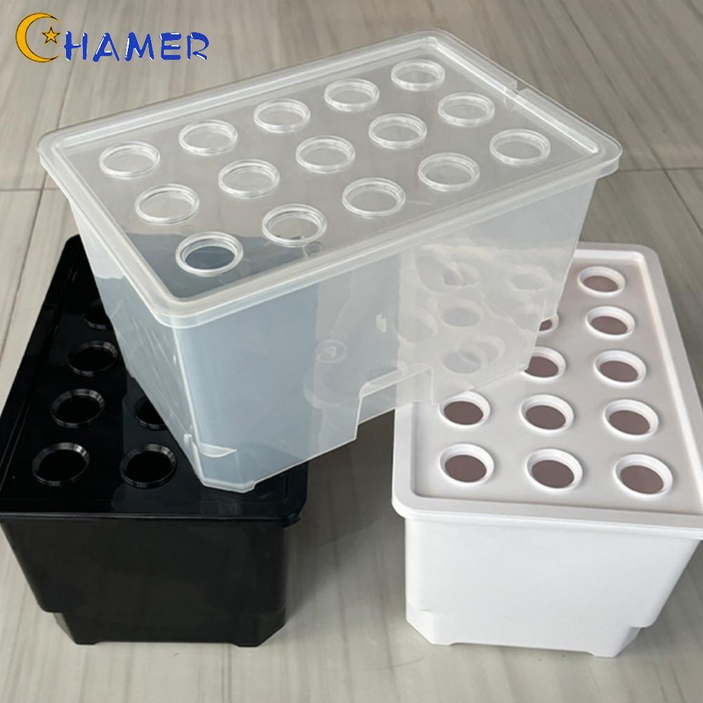 【CHAMER】Large Aquatic Planting Box for Home Use with 15 Holes Suitable for Indoor Plants【HomeLiving】