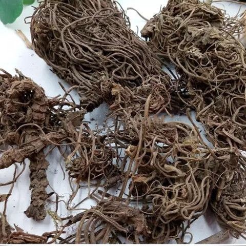 Dược liệu thảo dược Trung Quốc Len Valerian Valerian Rễ cây thông qua cỏ rang tim 250g 500g Nhiều th