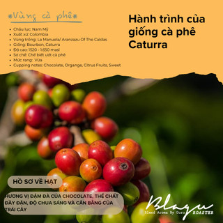 Cà Phê Đặc Sản Blagu - Colombia - America Collection - Bourbon, Caturra - Medium Roast - 250g