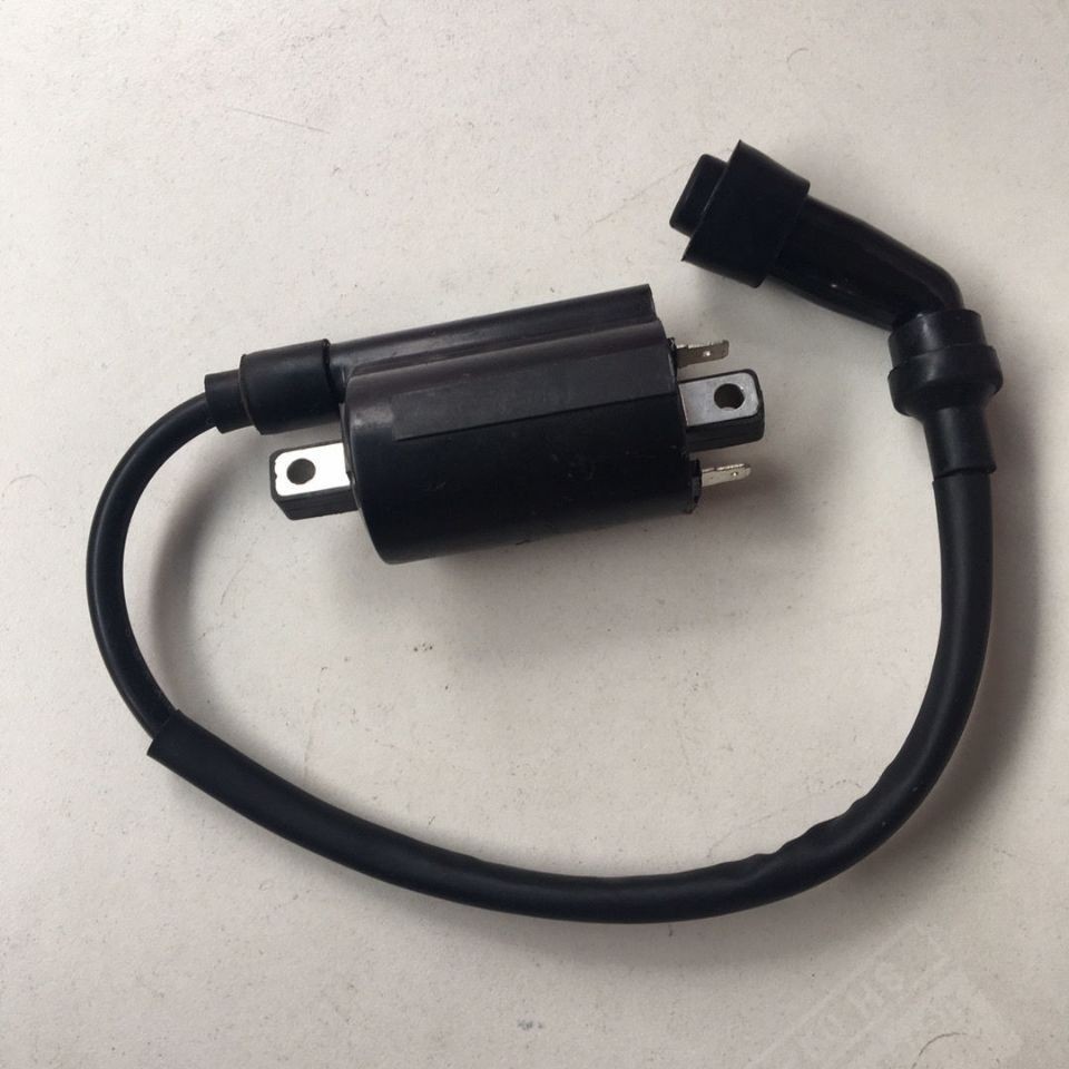 Tianwang Prince XV250 XV125 Lifan LF250V Longjia 250 Điện áp cao