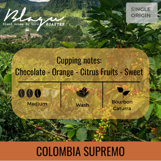 Cà Phê Đặc Sản Blagu - Colombia - America Collection - Bourbon, Caturra - Medium Roast - 250g