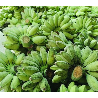 1kg Chuối sáp nghệ, trái rời ăn lời hơn nguyên nãy, nhà trồng hoàn toàn hữu cơ