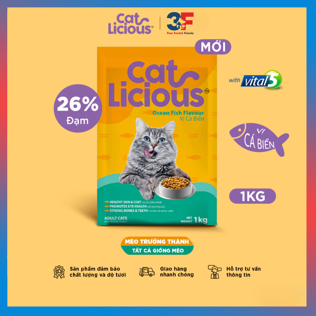 Hạt Cho Mèo Trưởng Thành CatLicious Cá Biển 1kg – Giàu Đạm, Taurine Tốt Mắt & Lông | 3F STORE