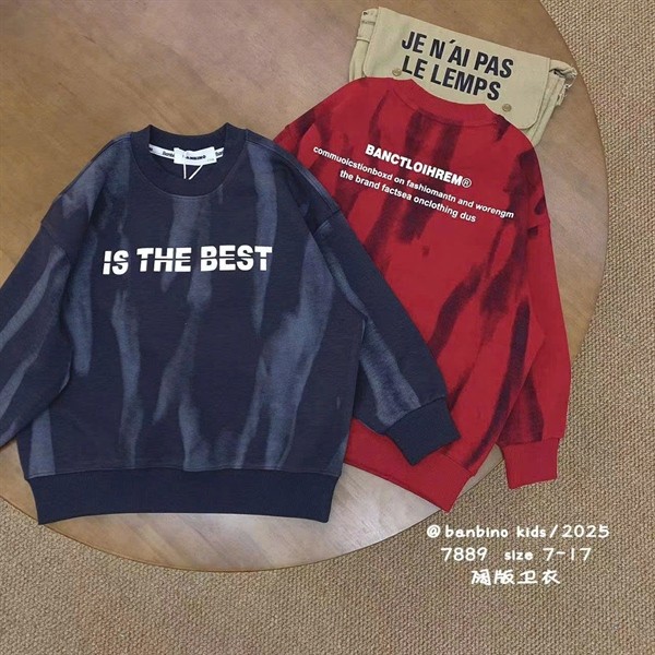 Áo sweater bé trai , bé gái size đại Banbino 25-55kg