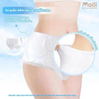 Túi 5 quần băng vệ sinh Molli cho phụ nữ sau sinh và người già thoáng khí, không bí suốt đêm