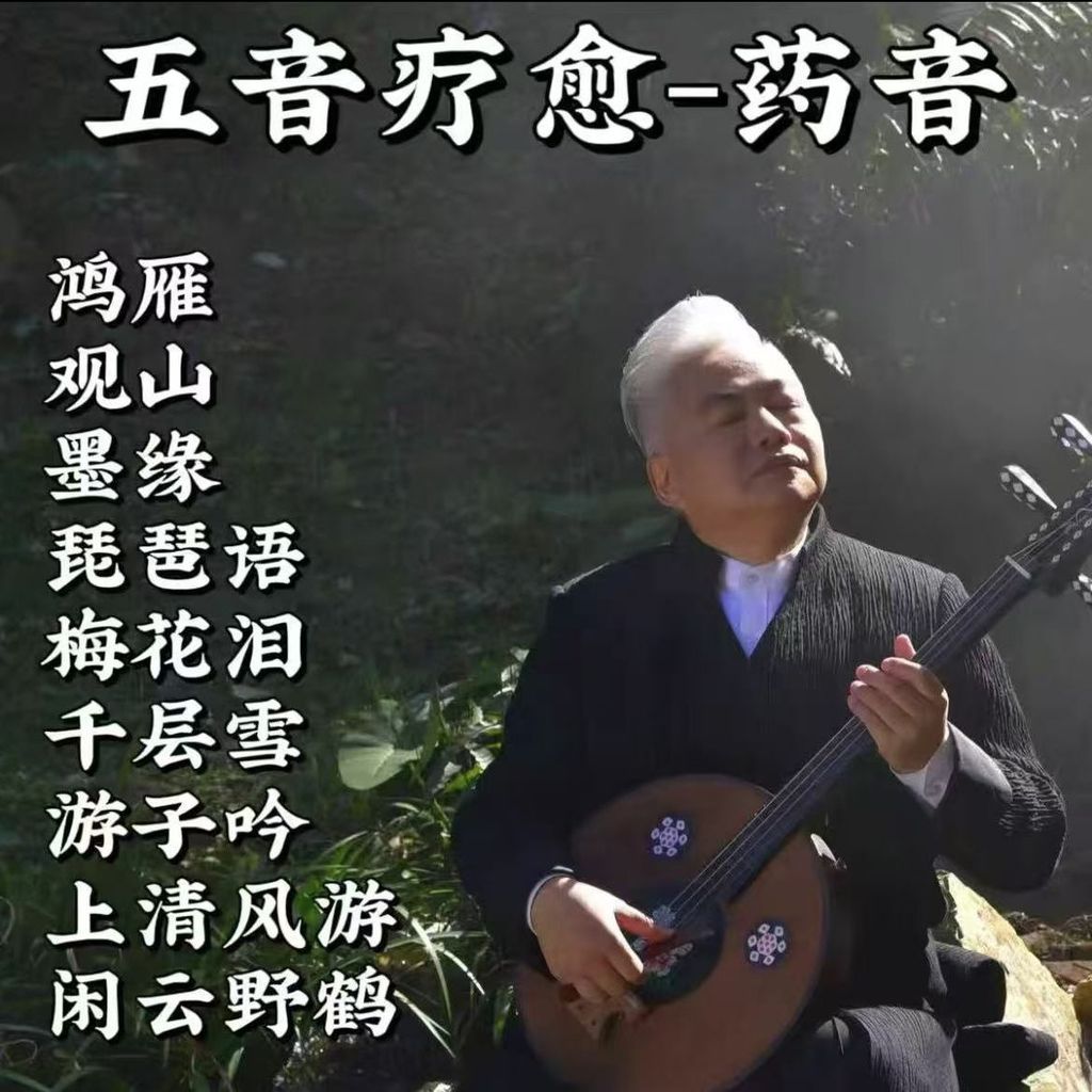 Five-Tone Âm Nhạc Trung Quốc Master Chất Lượng Âm Thanh Nguyên Chất Đĩa U Piano Pipa Guzheng Phòng T