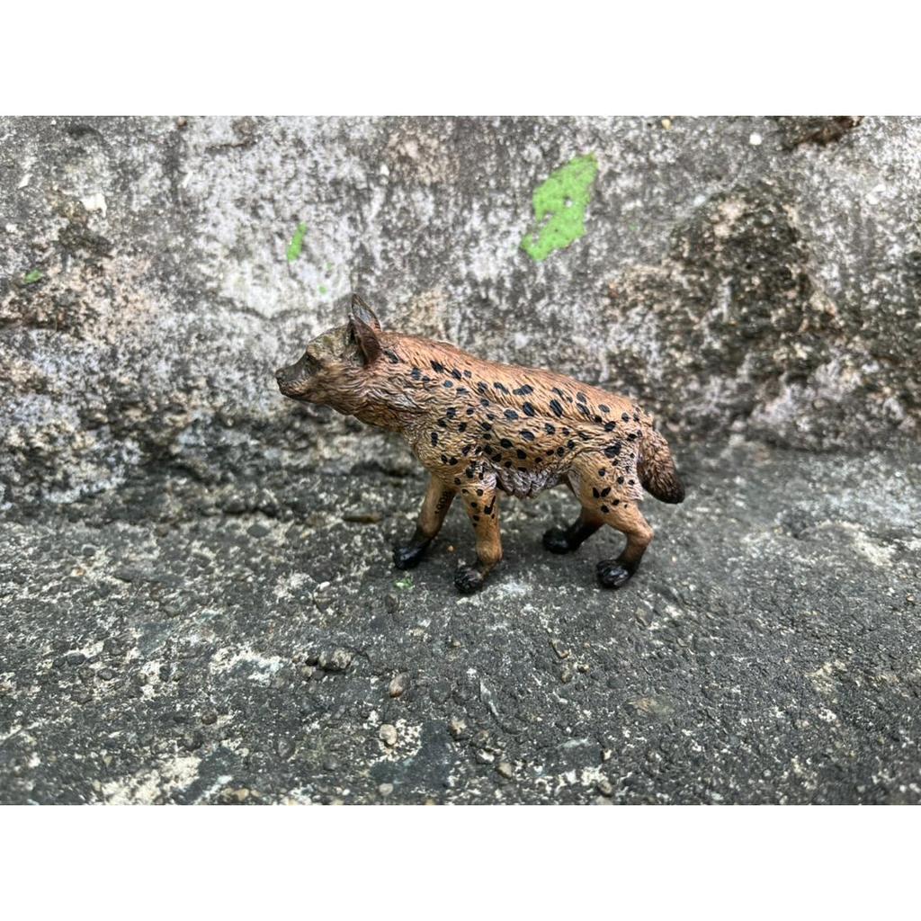 P PPO Pháp Chính Hãng Iguana Coyote Mô Phỏng Động Vật Đồ Chơi Mô Hình 50252