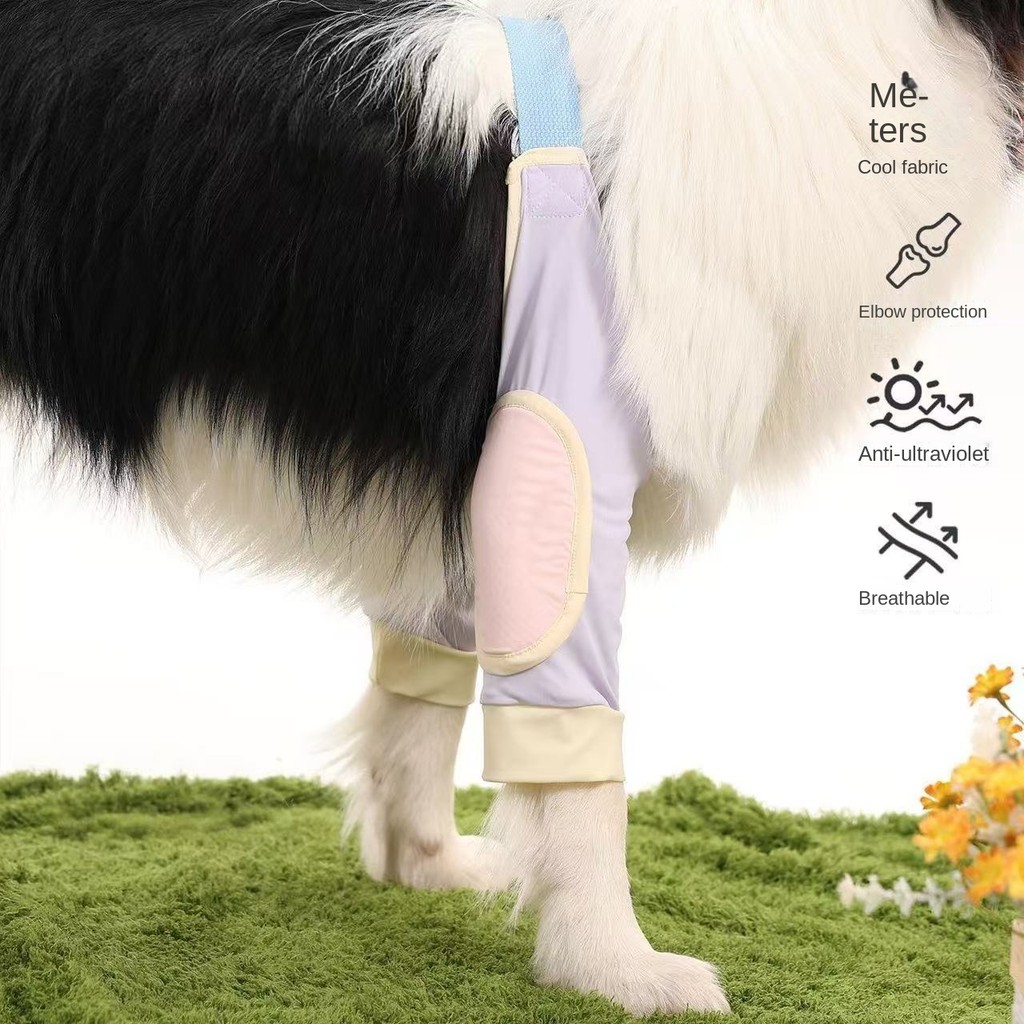 Elbow Pad for Pet Dog Golden Retriever/Border Collie Medium Large Dog Anti-Licking Anti-Wear Front L