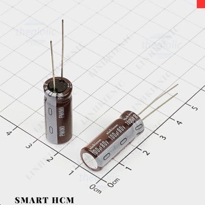 [5 Cái]- Tụ Hoá 100uF 80V 10x25mm Xuyên Lỗ Nichicon Smart. HCM City