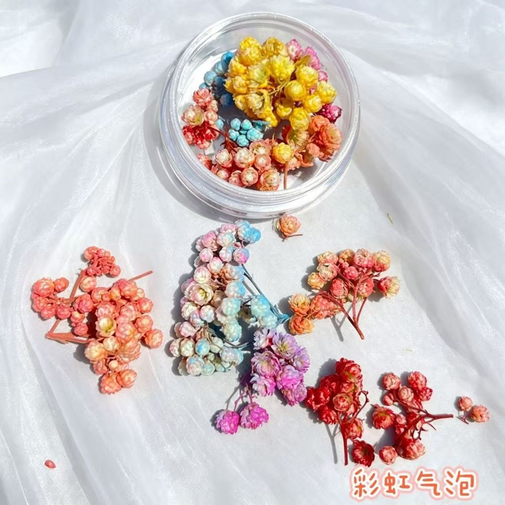 Henna Nhiều Màu Full Range Nail Enclosure Chất Liệu DIY Đóng Hộp Niche