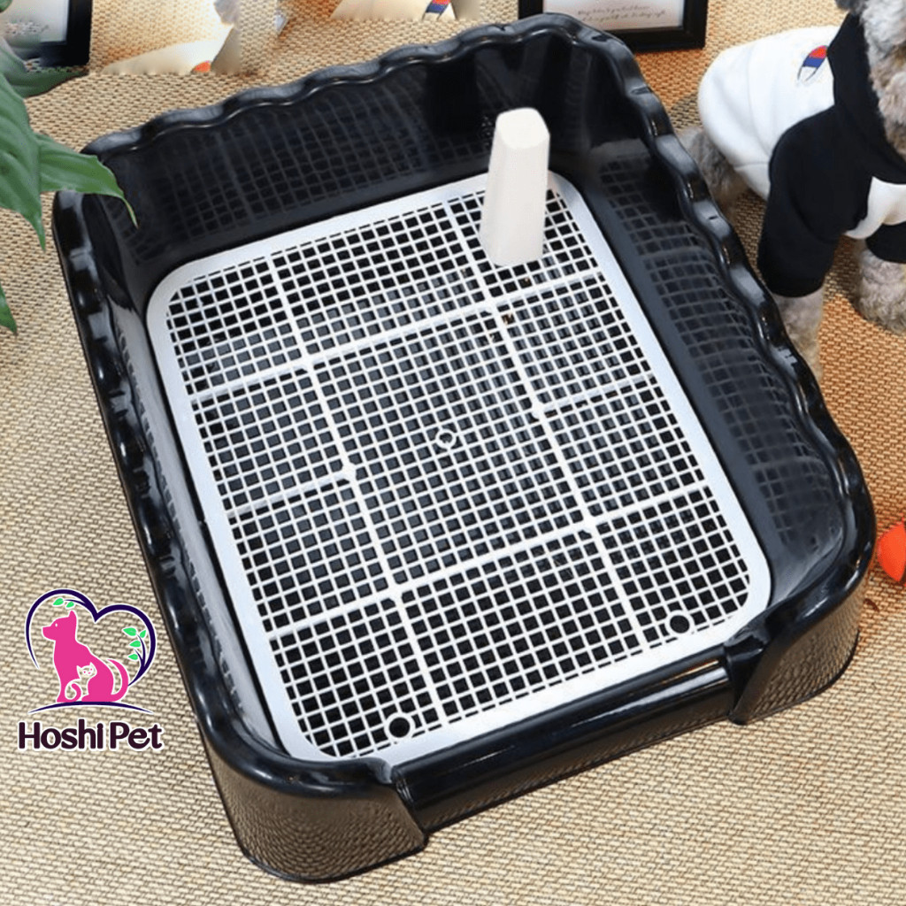 Khay Vệ Sinh Cho Chó Có Thành (tặng cột + tấm lót) Hoshi Pet KC01
