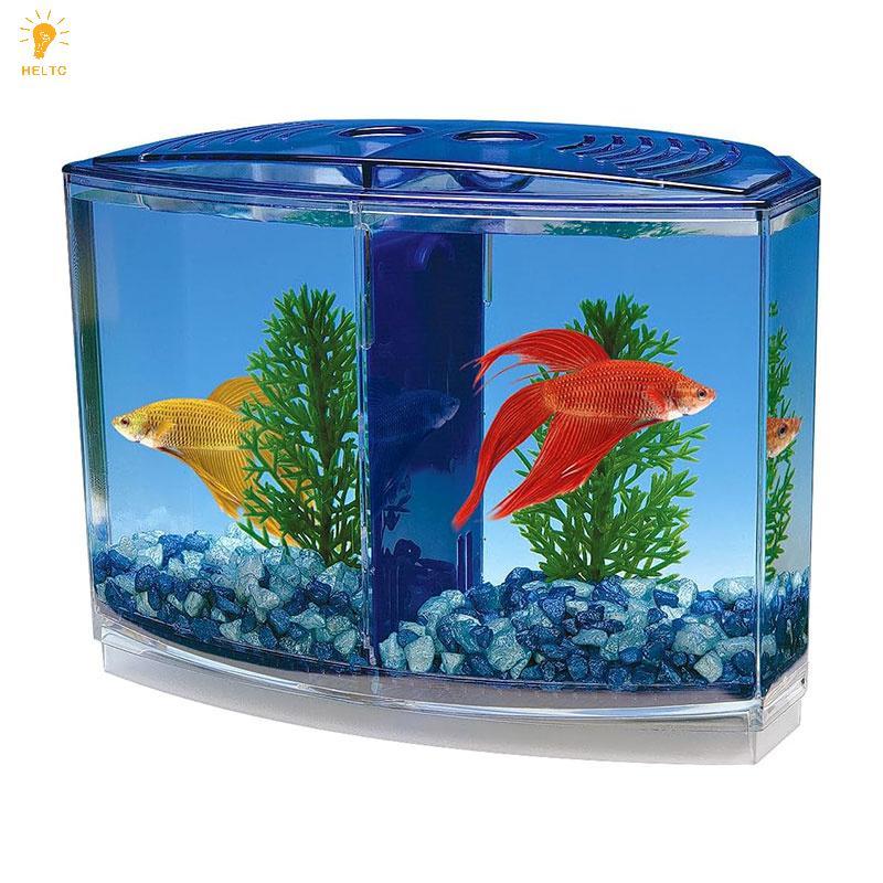 [HELLC] Hộp cá chiến đấu ngăn đôi lớn Eco Rumble Fish Aquarium Mini Aquarium Hộp cách ly bằng nhựa H