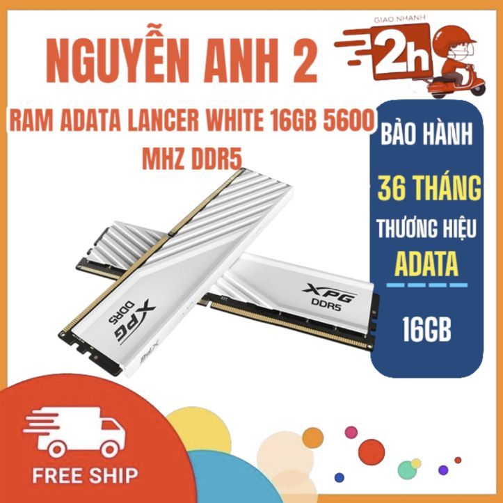 Ram Máy Tính ADATA LANCER WHITE ( 1x16GB ) DDR5 5600mhz