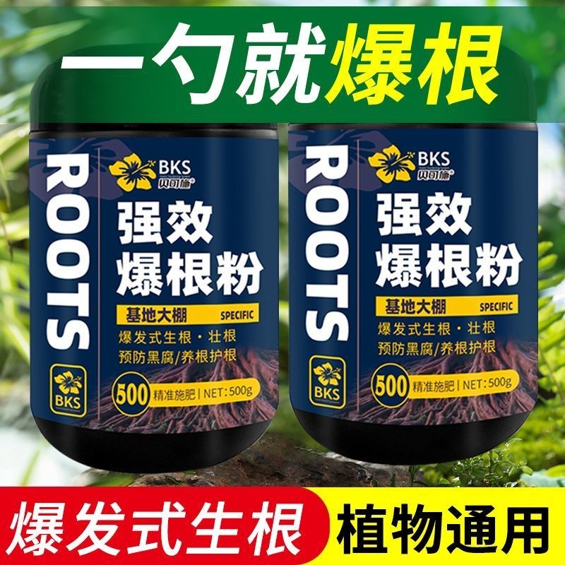Becosion Bột gốc rễ mạnh mẽ Bột gốc King Root Chất lỏng Cây cắt nhanh Đa năng Bột gốc có độ tinh khi