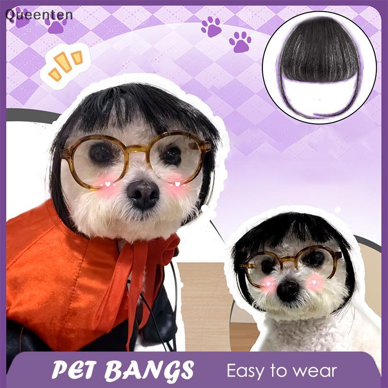 Queenten Ngộ nghĩnh Mèo Tóc Giả Trimmable Thú Cưng Tóc Giả Mèo Tóc Giả Tiếp Liệu Phụ Kiện Thú Cưng S