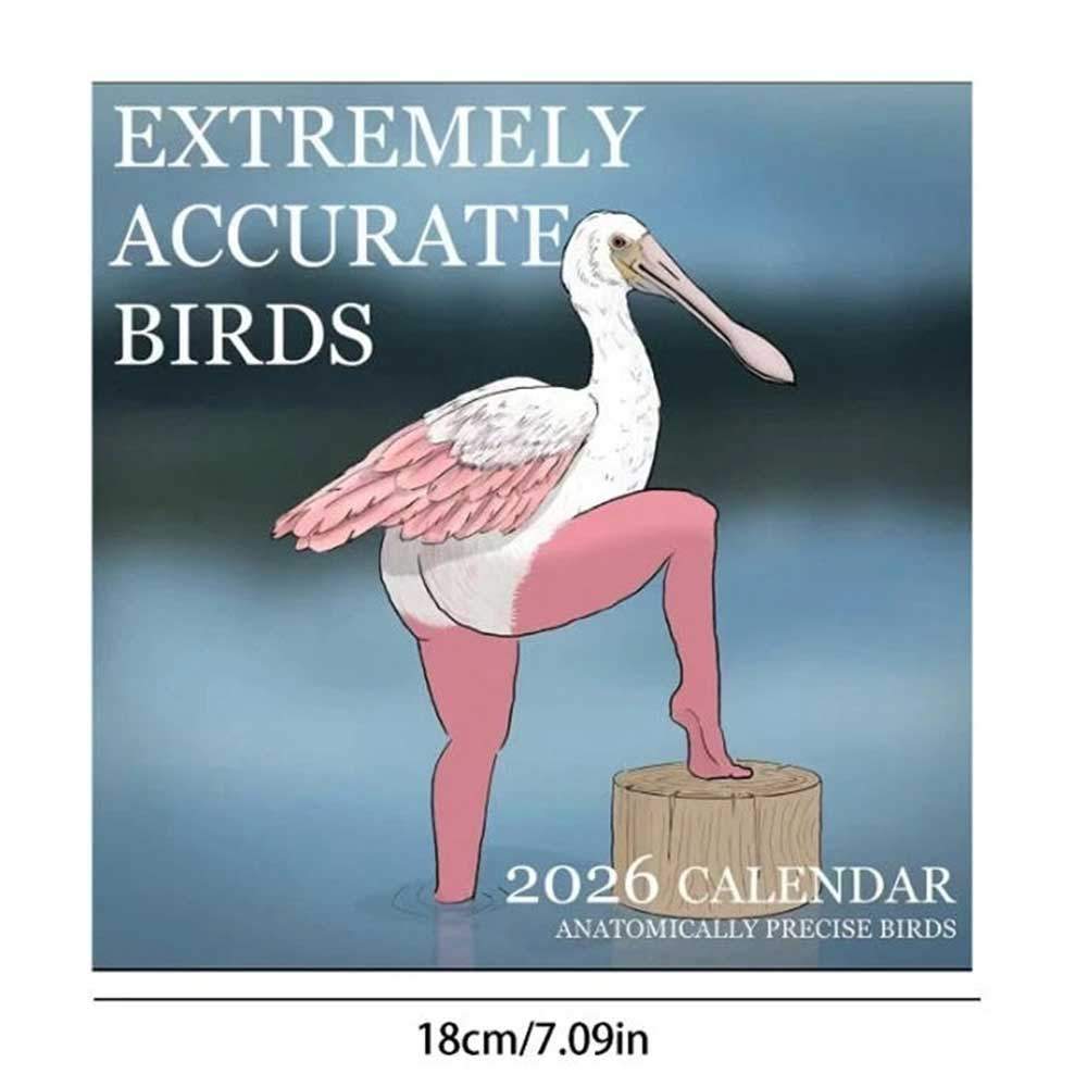 Classroom Calendar with Natural Beauty Large Writing Space Calendar 2026 Funny Birds Wall Calendar N