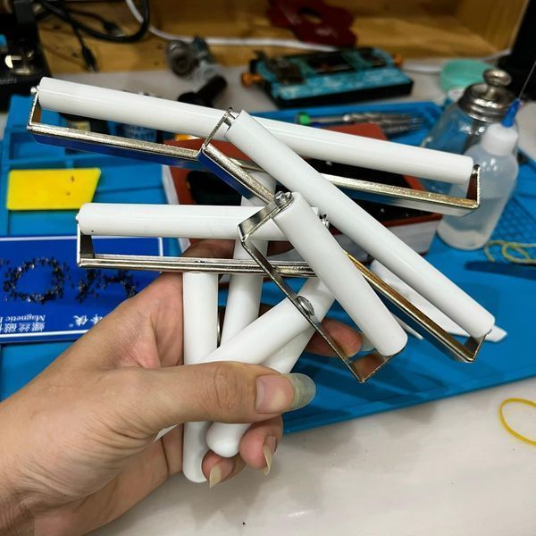 Cây Lăn Keo  Sẵn 8cm | 10cm l 15cm | 20cm - Táo Chất