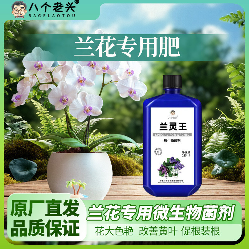 Cung cấp Eight Old Man Orchid King Orchid Phân bón lỏng dinh dưỡng đặc biệt EM Vi khuẩn Quý ông Orch