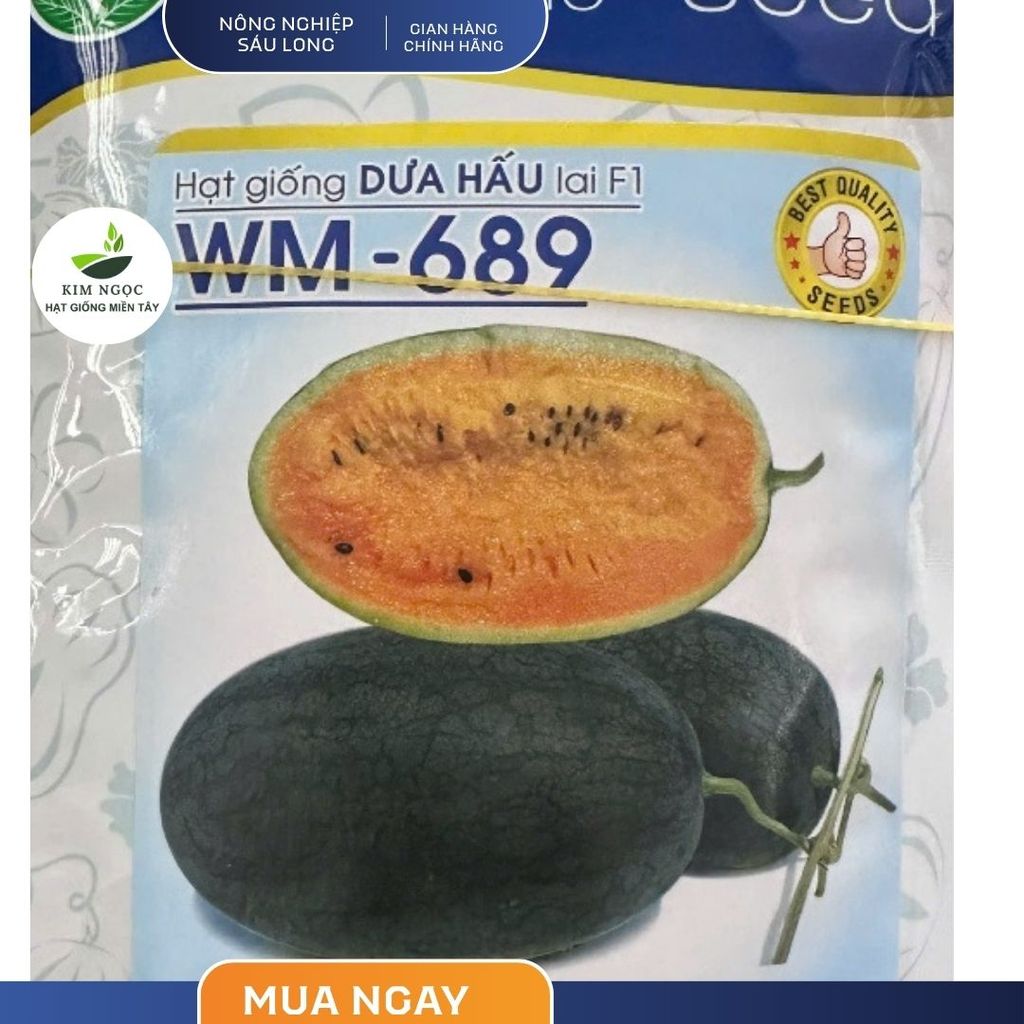 Hạt Giống Dưa Hấu Lai F1 WM-689 NUMBER ONE (Gói 20gr)- Ruột màu vàng tươi, ngọt cao, năng suất cao