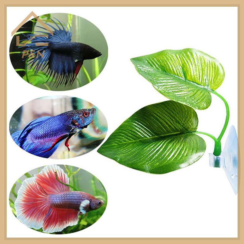 [P & N} Betta Fish Rest Aquarium Leaf Plants Trang trí Spawning Cây trang trí Betta Fish Play Relax 