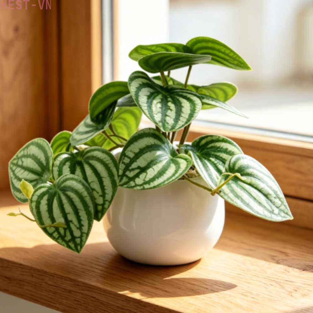 Artificial Green Plants Potted Fake Flowers for Home Office Decor Small