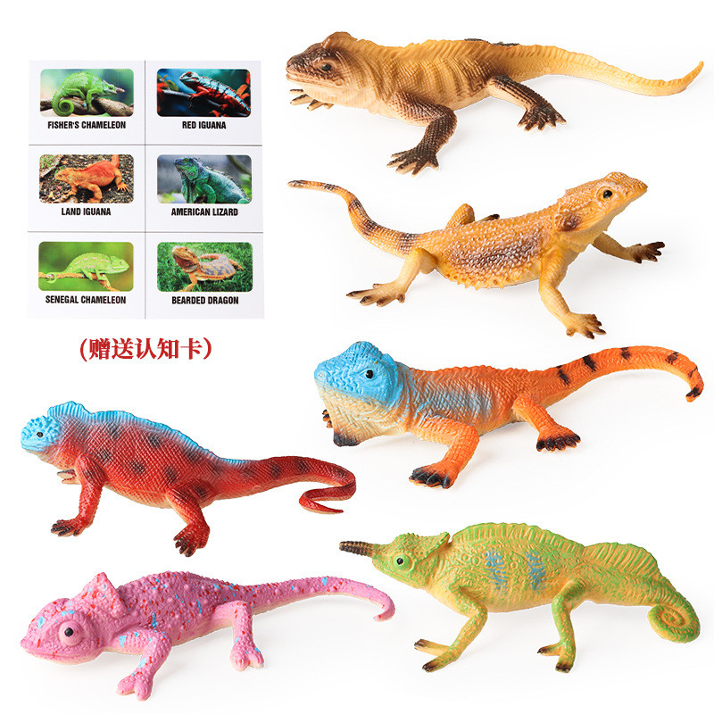 Mô hình bò sát rắn thực tế Land Iguana Chameleon Trang trí rồng râu kèm thẻ
