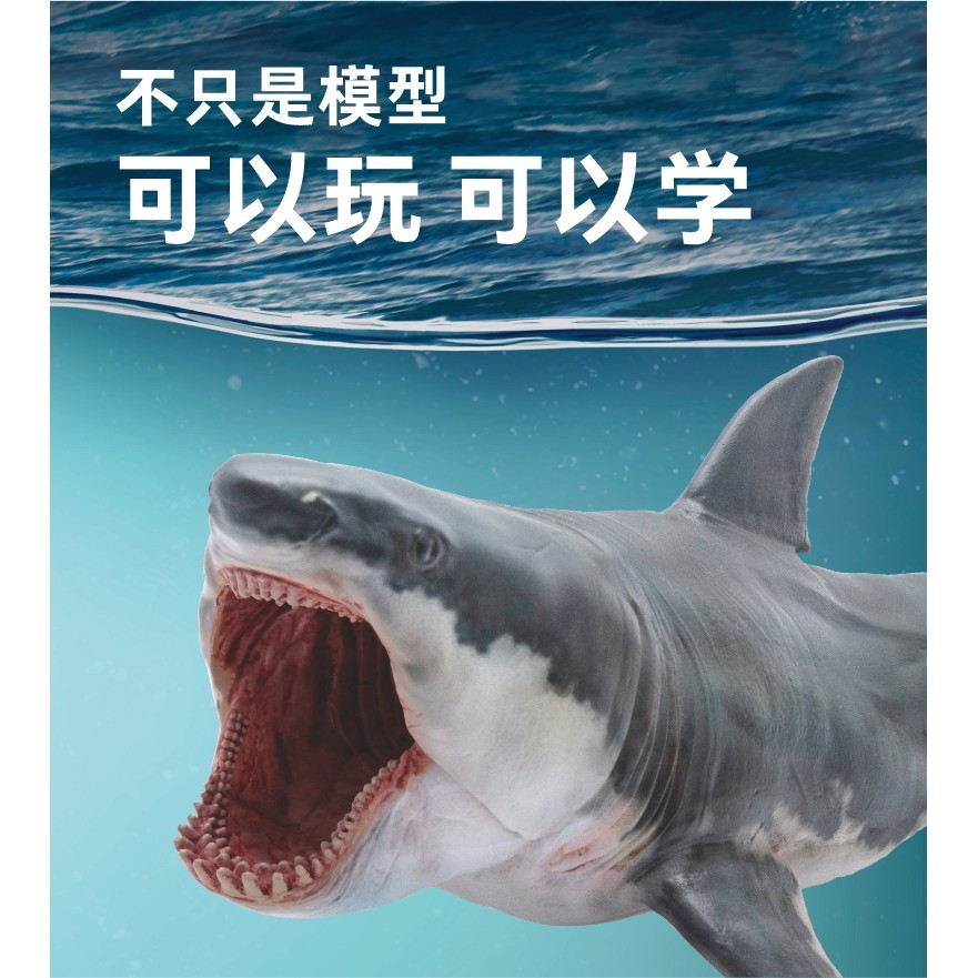 Đồ chơi trẻ em Mô hình cá mập PNSO 15 Megalodon Barton Dinosaur King Chalk
