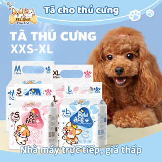 Tã cho thú cưng Tã cho chó đực cái Tã cho chó con mèo cao cấp XXS XS S M L XL