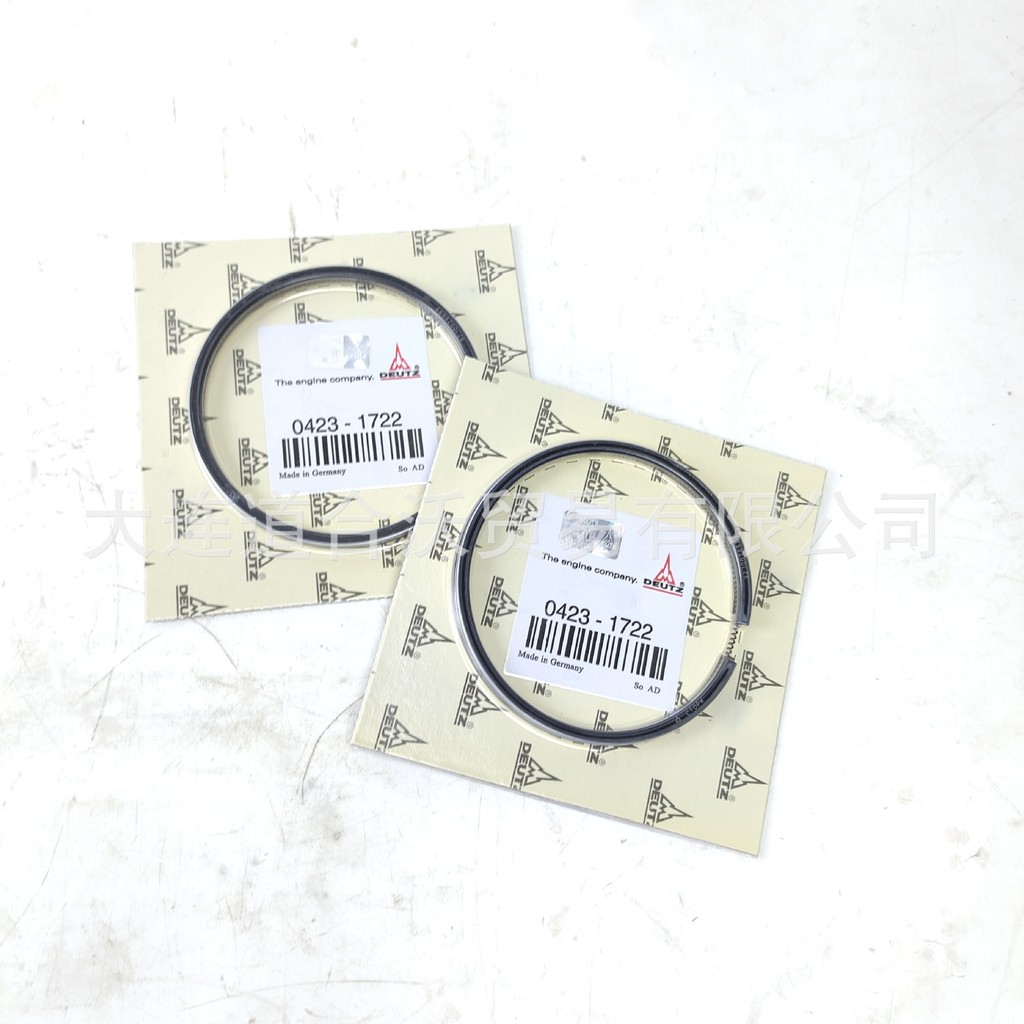 04231722 Động cơ vòng Piston Iz F6L912