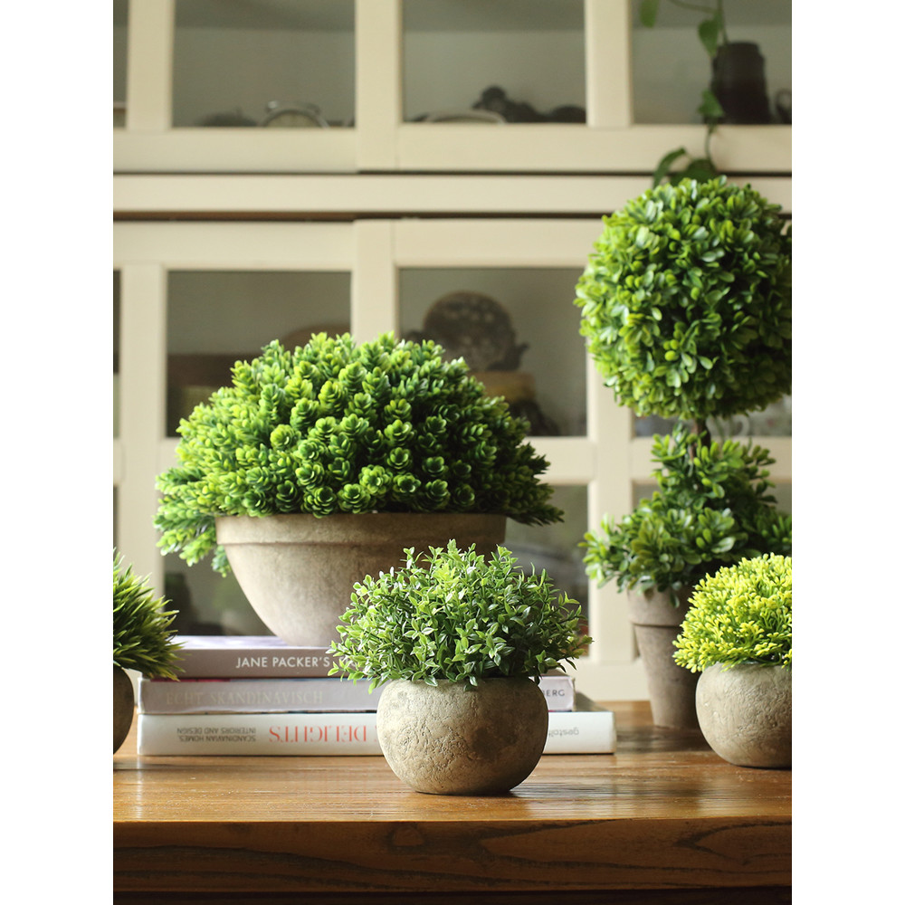 Juhan Mô Phỏng Cây Xanh Chậu Hoa Giả Nhỏ Cỏ Bóng Trang Trí Phòng Khách Bàn Ăn Trang Trí Cảnh Quan Ch