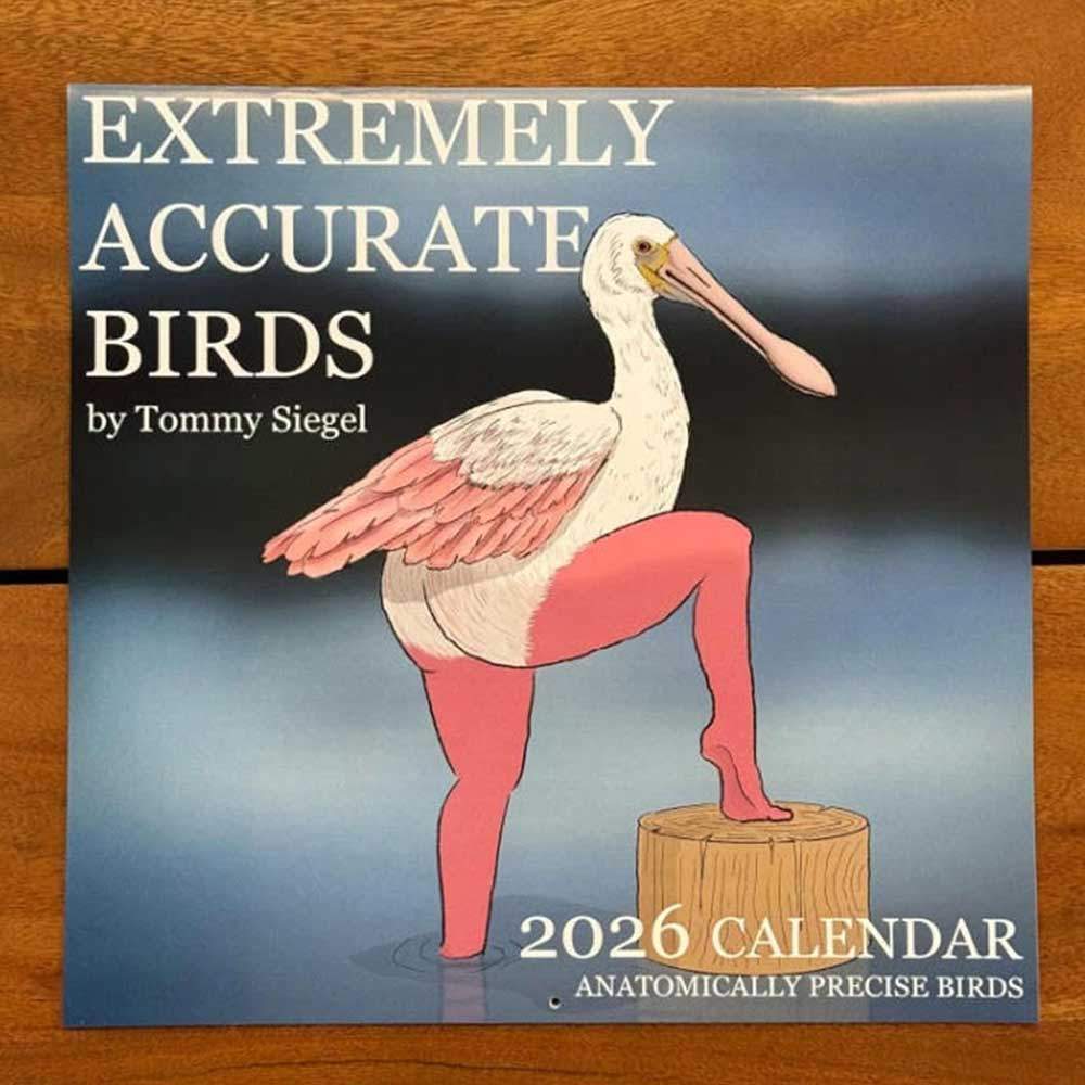 Classroom Calendar with Natural Beauty Large Writing Space Calendar 2026 Funny Birds Wall Calendar N