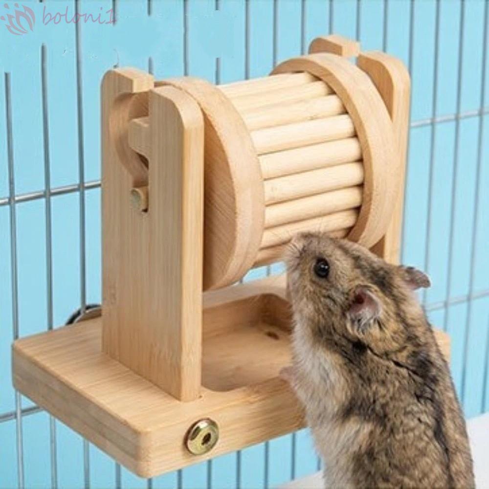 [COD] Đồ chơi tìm kiếm thức ăn cho chuột hamster, Hộp đựng thức ăn chống nhai không độc hại, Ẩn đồ ă
