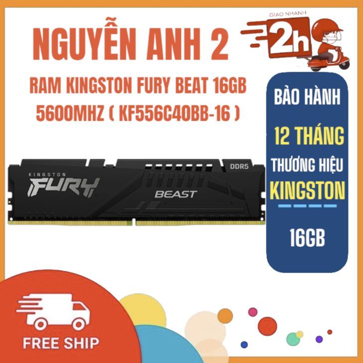 Ram Máy Tính Kingston Fury Beast 16GB (1x16GB) DDR5 5600MHz (KF556C40BB-16) BH : 12T