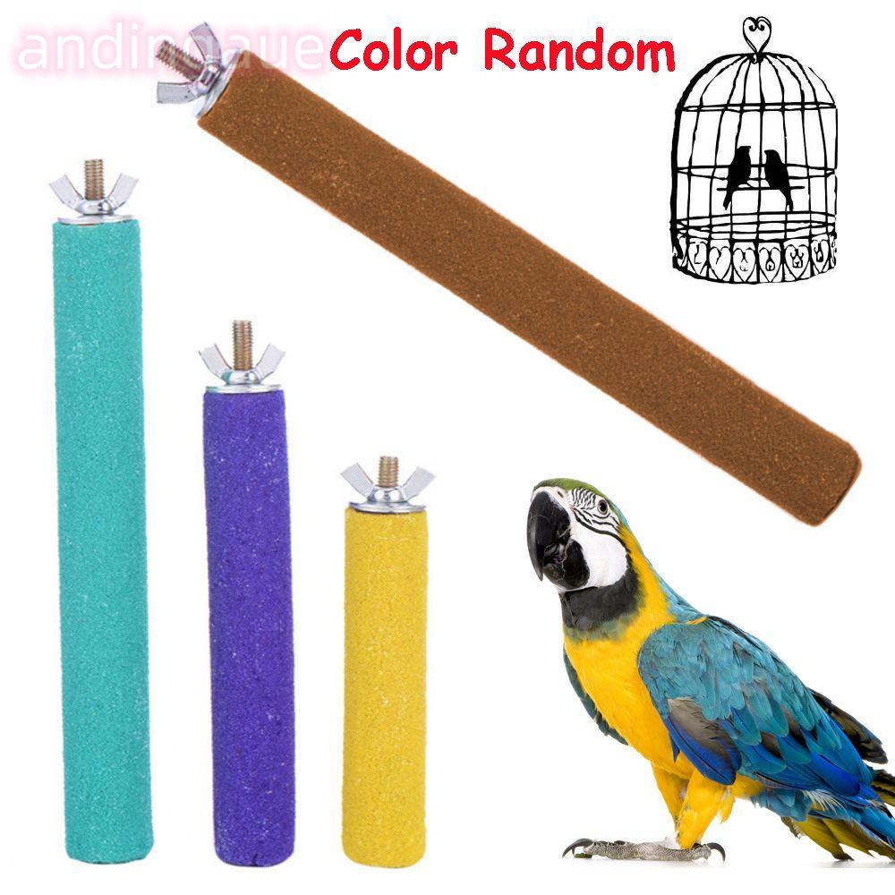 ANDIN Color Random Station Bits Gnawing Hot Pet Supplies Mài