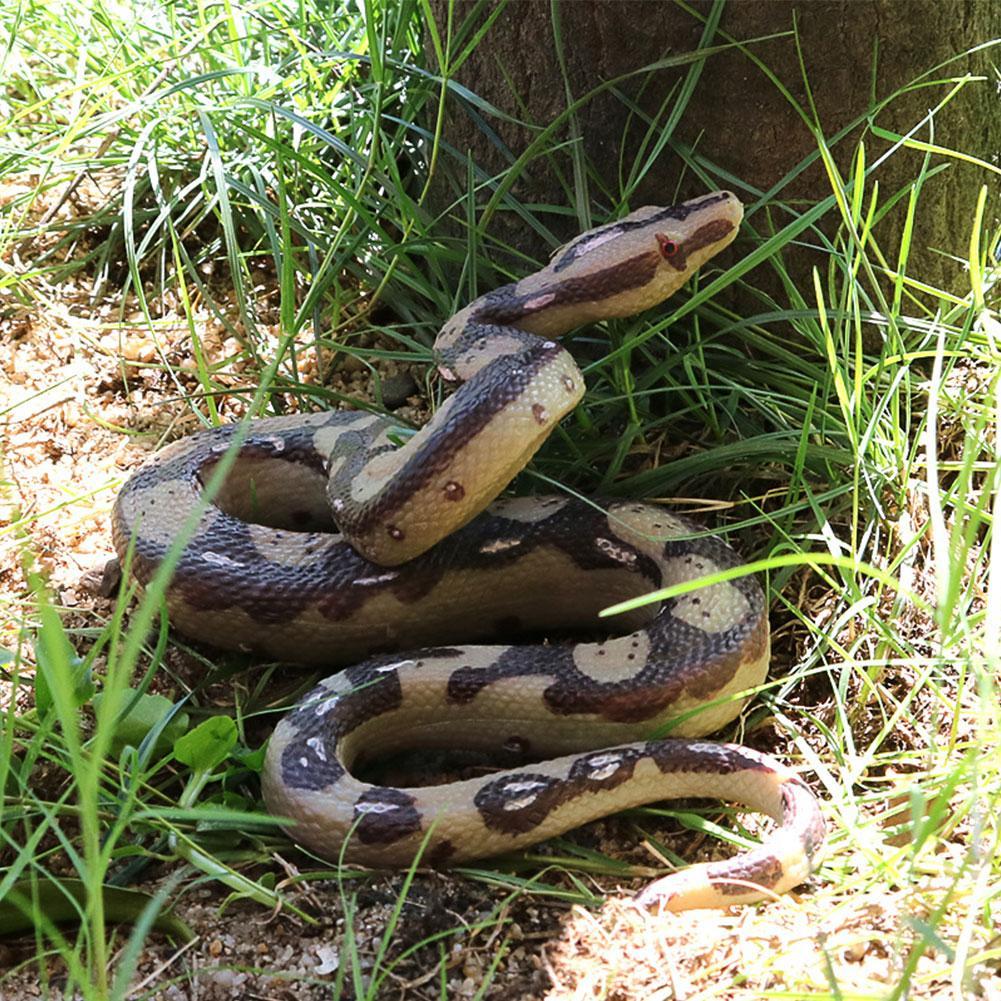 Sáng Tạo Mô Phỏng Đồ Chơi Python Thực Tế Đồ Chơi Python Sống Động Prank Và Mô Hình Python Đáng Sợ R9