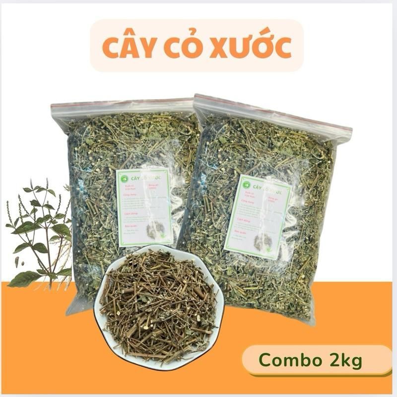 2kg Cây cỏ xước phơi khô tự nhiên xanh đẹp 1000G hỗ trợ tiểu đường, mỡ máu, mát gan, thanh nhiệt 1kg