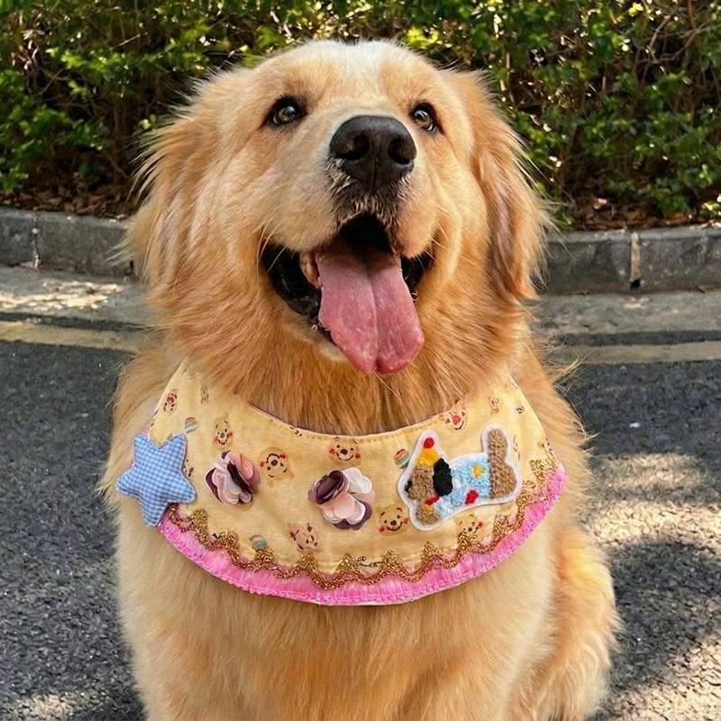 Bib Spring and Summer Scarf New Dog Golden Retriever Samoyed Husky Border Collie Bib Cute Jewelry 9V