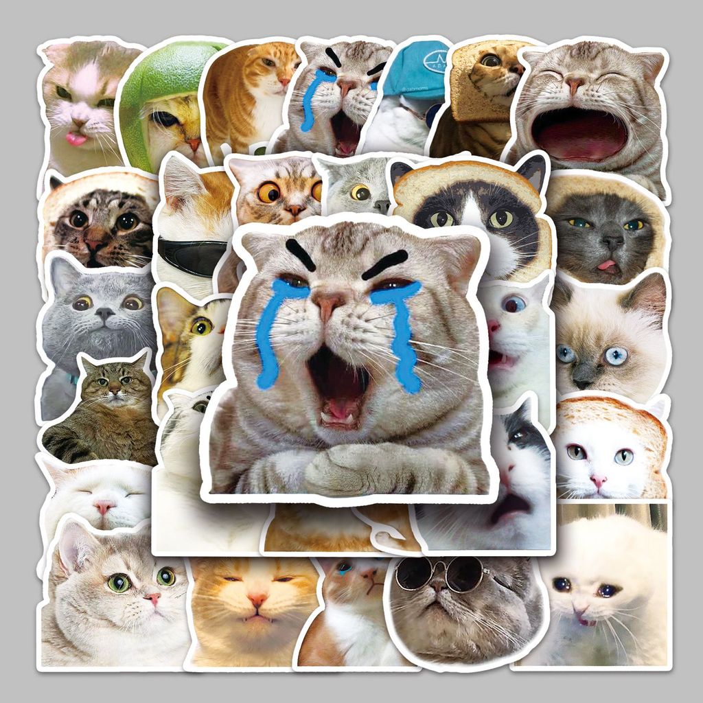 50 sticker mèo emoji cute, miếng dán chống nước DIY cho notebook, ốp điện thoại, journal, laptop